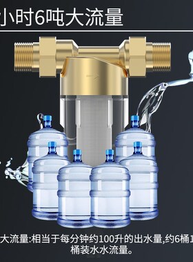 自来水净水器前置家用虹吸反冲洗铜大井水管塔全屋过