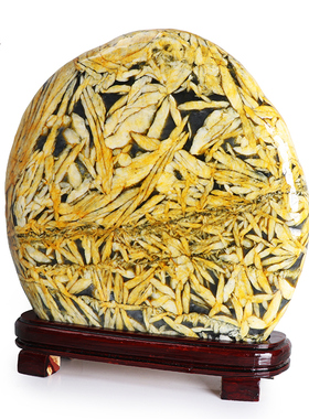 天御阁竹叶石原石摆件天然奇石观赏石头招财客厅办公室装饰工艺品