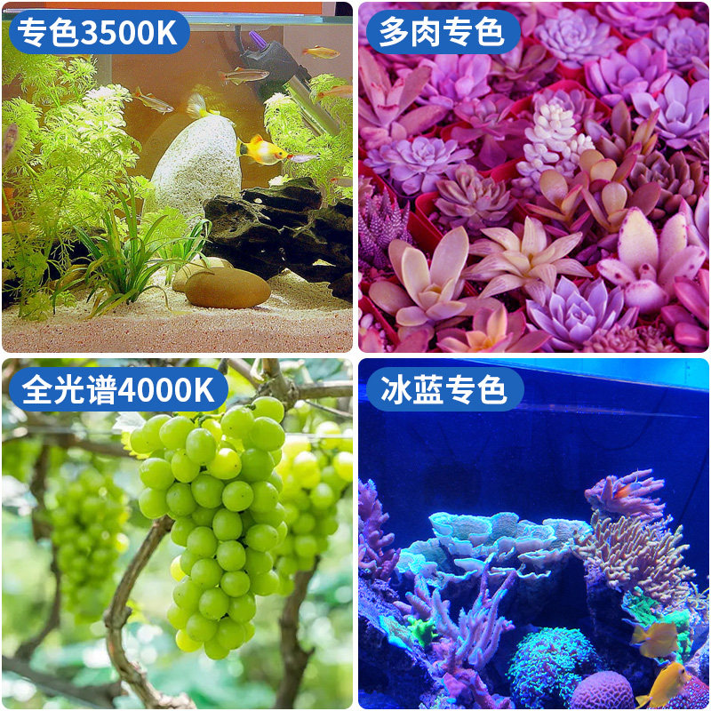 全光谱led射灯灯泡植物补光灯泡兰花碗莲鱼缸爆藻灯餐饮餐厅专用,淘宝优惠券,粉丝福利购,淘宝优惠卷