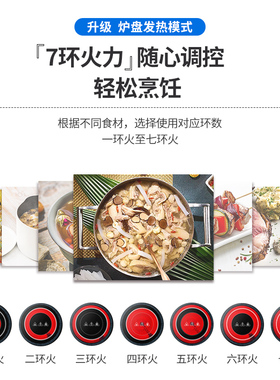 Lool忠臣 L电磁炉电陶炉家用炒菜火锅节能大功率