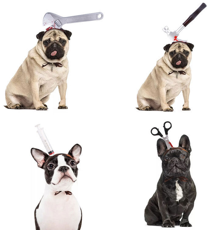 宠物搞鬼整人万圣节法斗巴哥狗狗头饰搞笑菜刀锯子斧头锤子装扮,淘宝优惠券,粉丝福利购,淘宝优惠卷