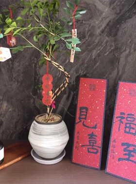 福至见喜新年装饰客厅桌面电视柜玄关入户门乔迁结婚送礼