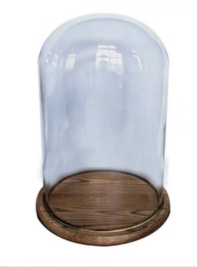 rokr若客蝴蝶玫瑰仿生机械物种手工摆件成品专用灯光防尘玻璃罩子