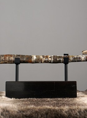 新中式装饰玄关电视柜饰品天然异型直角螺开业乔迁礼物摆放送礼