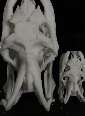 新款3D打印动物骨骼标本高精度模型F光敏树脂摆件装饰礼物收藏定