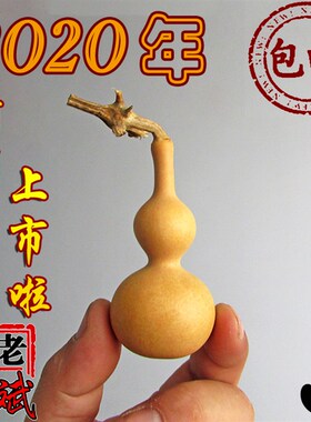 老斌小店小手捻草里金超小小葫芦到厘草里金一物一拍