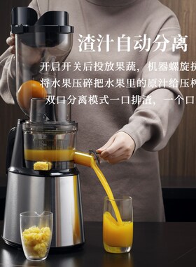 德国西兰普榨汁机家商用大容量汁渣分离炸果原汁摆摊