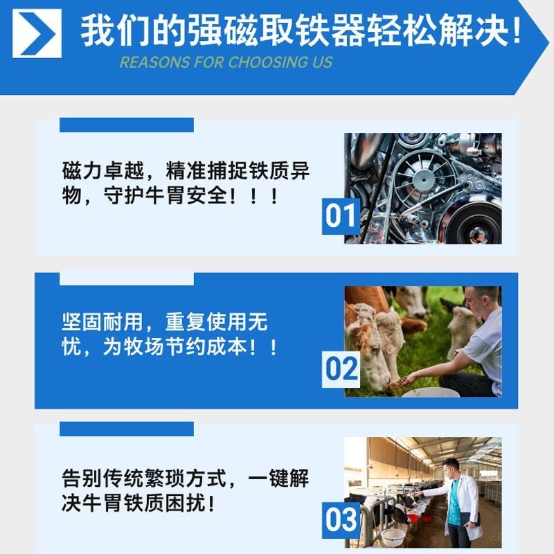 牛胃取铁器强磁牛瘤胃吸铁器口器牛强磁金属吸铁器公斤 - 图3