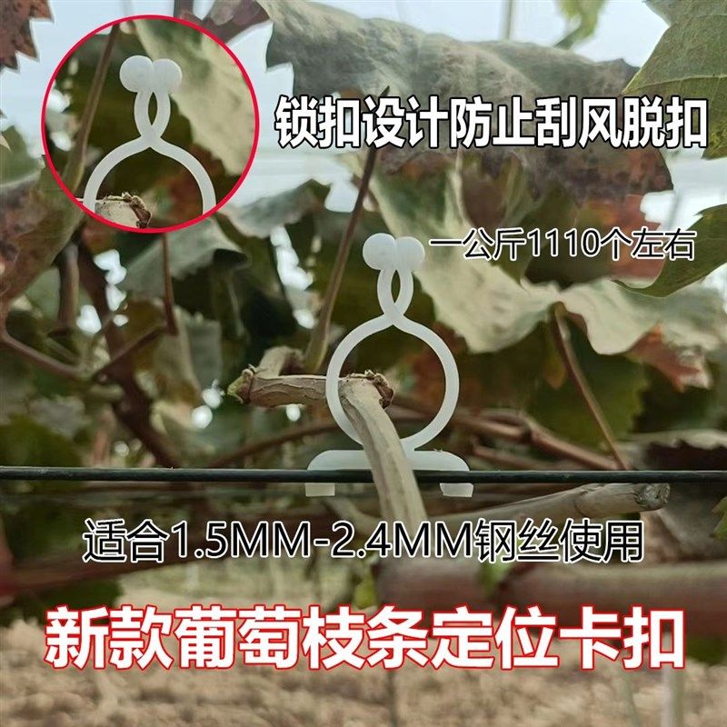 免拆卸葡萄绑枝卡猕猴桃绑枝扣果树固定卡子挂钩蓝莓枝条塑料扎丝,淘宝优惠券,粉丝福利购,淘宝优惠卷