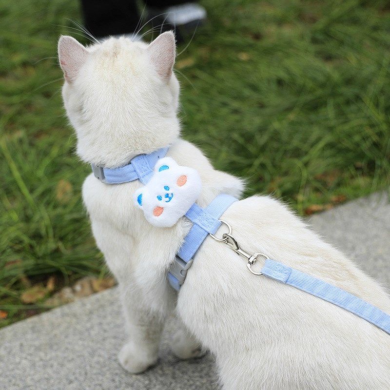 猫咪牵引绳防走丢可调节遛猫绳子翅膀幼猫外出用胸背带宠物狗用品,淘宝优惠券,粉丝福利购,淘宝优惠卷