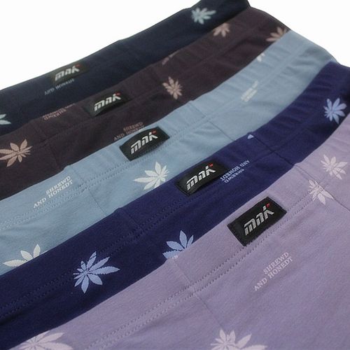 2条价莎奴亚男士平角内裤男棉质弹力棉中腰男式全棉裤透气33963-3 - 图2