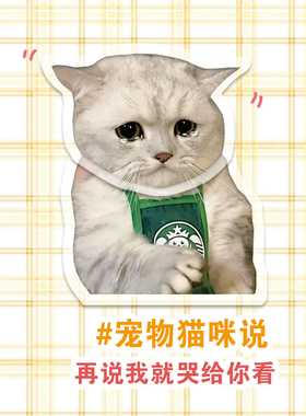 宠物猫咪摇头摆件定制亚克力车载小猫狗狗立牌摇晃桌面diy摇摇乐