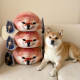 My Sword and Shield Dog Doll Pillow Plush Toy Doll Sleeping Hold Doll Abstract Funny Birthday Gift for Girls