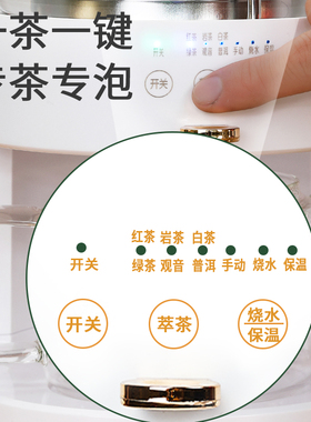 零泡商务萃茶煮茶壶养生壶电陶炉泡茶智能茶饮烧水自动喷淋