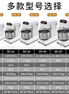 双速双动BH20/30/40/50/60商用揉面机不锈钢全自动和面机厂家直销