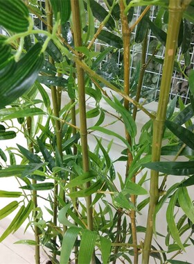 仿真竹子假竹子装饰庭院屏风挡墙造景仿生加密室外绿植毛竹