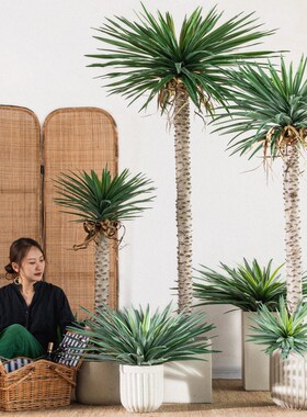 大型仿生绿植仿真室内造景千手剑麻商场橱门店落地装饰