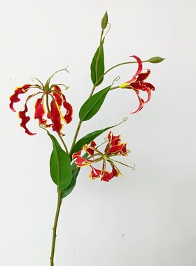 仿真 嘉兰 火焰百合 居饰 艺师插 摄影道具 陈设