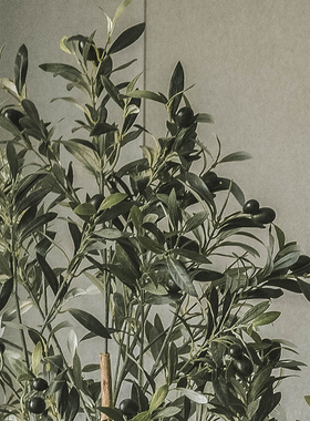 仿真饰橄榄树风假绿植室内办公室客厅电视柜绿植树