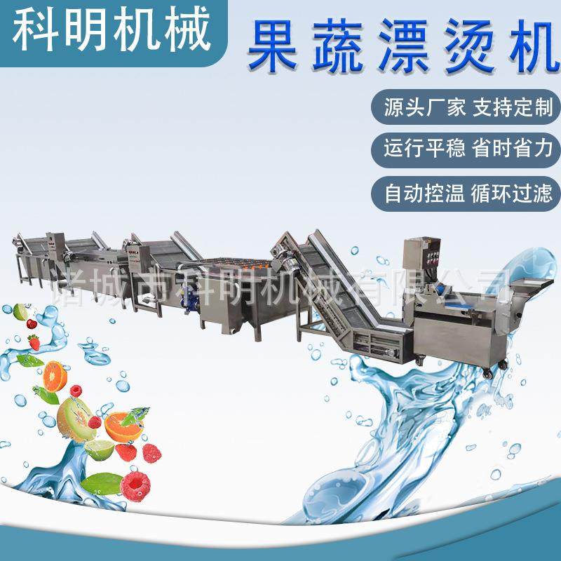 漂烫流水线提升式黑水虻漂烫设备桑芽菜水循环漂烫机自动芝麻叶,淘宝优惠券,粉丝福利购,淘宝优惠卷