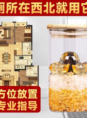 安忍水瓶子床头朝西解决厕所在西北五黄二黑卧室瓶