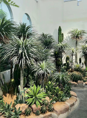 大型仿真绿植龙血树景观饰丝兰树仿真绿植客厅盆景落地