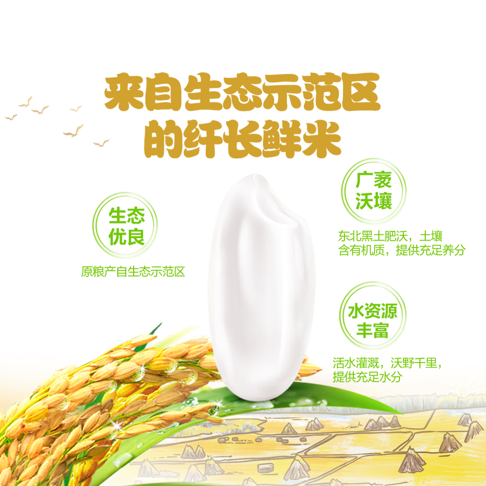 【5斤装】金龙鱼6步鲜金域鲜稻长粒香大米辽河东北2.5kg稻谷鲜生 - 图0