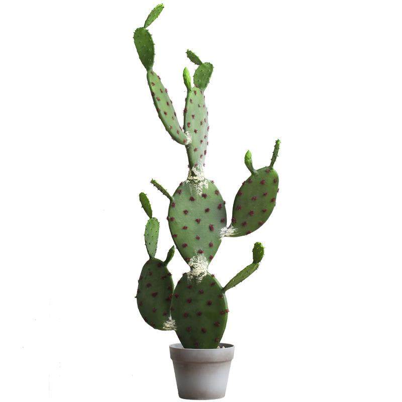 罗曼妈妈北欧仿真植物盆栽假仙人掌大型落地装饰客厅室内盆景绿植,淘宝优惠券,粉丝福利购,淘宝优惠卷