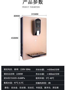 壁挂式即热调温胆冷热管线速热智能纯水直饮净水水器