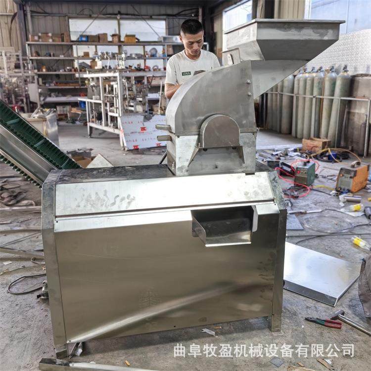 大型水果破碎机 西红柿草莓柠檬破碎打浆机 不锈钢生姜蔬菜打泥机,淘宝优惠券,粉丝福利购,淘宝优惠卷