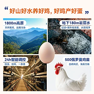 玮伟舜！高原富硒可生食鸡蛋30枚[10元优惠券]-寻折猪
