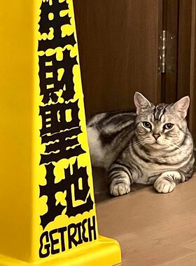 入户门口落地装饰摆饰警示牌创意家居玄关客厅招财迁乔新居礼物大