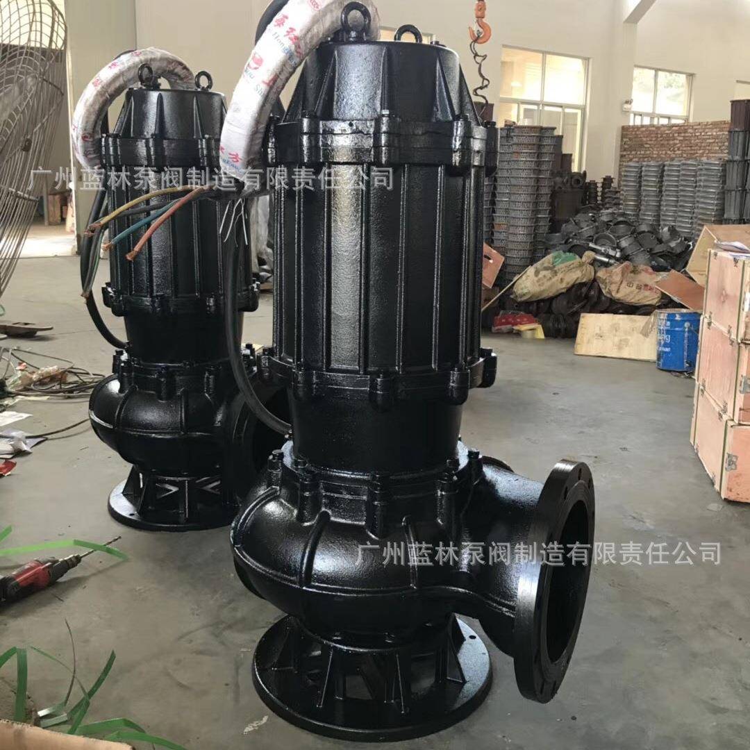 潜水排污泵200wq400-13无堵塞污水泵污水处理排放系统潜水泵 - 图1