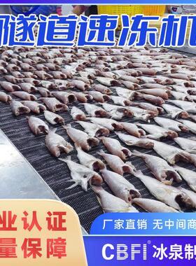 厂家直销大型隧道式速冻机海鲜水产预制菜速冻设备-35度