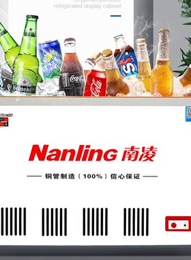 南凌 升冰柜 冷藏冷冻柜展示柜雪糕柜饮料水柜