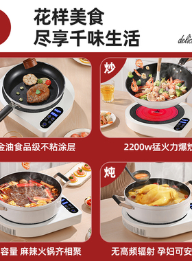 普匠静音电陶炉爆炒电磁炉锅一体大功率能电池灶火锅