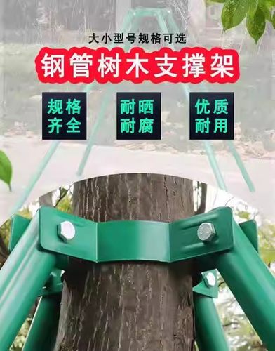 树木支撑架钢管固定器行道大树支撑杆乔木防风园林烤漆镀锌树撑 - 图2