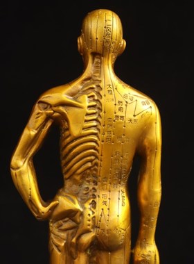 黄铜针灸铜人摆件中医经络穴位模型人体解剖结构模型针灸铜人摆设