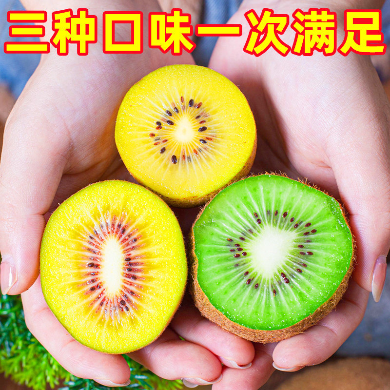 图 2