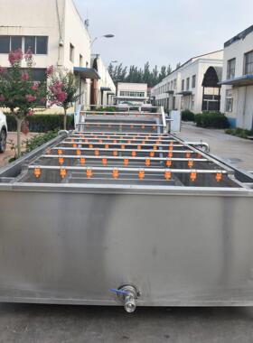 大批量水果红枣气泡清洗机清洗水果的大型机器红枣连续式清洗机