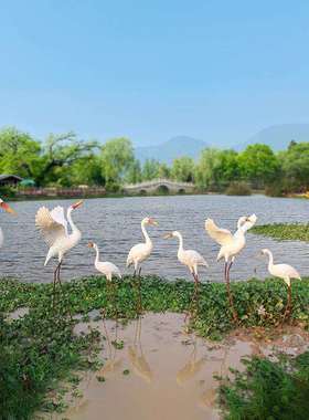 仿真鹤白鹭动雕塑摆件花园庭院假山水池物装2050白鹭仙饰外园林户