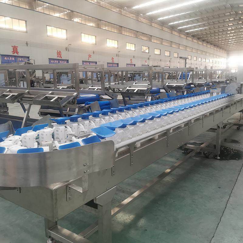 海鲜鱼类重量分选机全自动鱿鱼称重分级机食品级水产高精度,淘宝优惠券,粉丝福利购,淘宝优惠卷