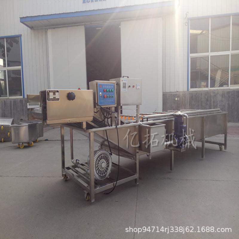 YH6洗辣椒机器大型不锈钢材质辣椒清洗机气泡辣椒清洗设备厂家 - 图0