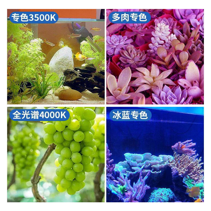 全光谱灯泡生长补光灯多肉热植绿植仿太阳光照ld鱼缸爆藻,淘宝优惠券,粉丝福利购,淘宝优惠卷