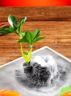 酒店意境菜品冷菜盘饰餐饮刺身摆盘装饰花草创意小摆件寿司点缀花