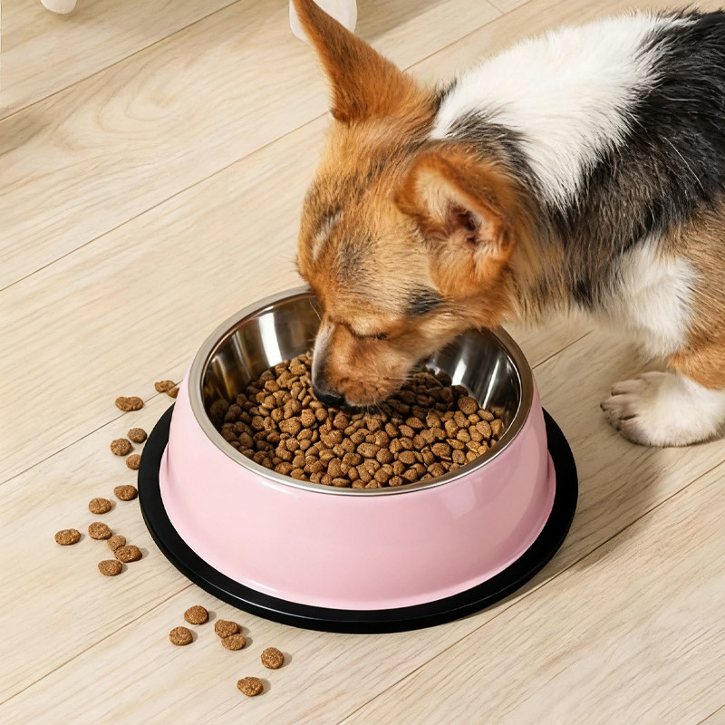 不锈钢猫狗碗防打翻宠物单碗食盆中大型犬猫咪喝水碗防滑宠物用品,淘宝优惠券,粉丝福利购,淘宝优惠卷