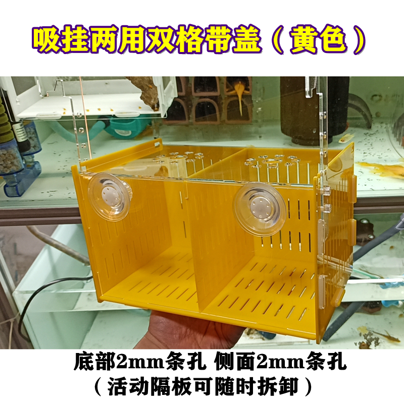 白色黑色双格亚克力乌龟隔离盒 狗头鱼隔离箱 龟苗孵化盒 - 图3