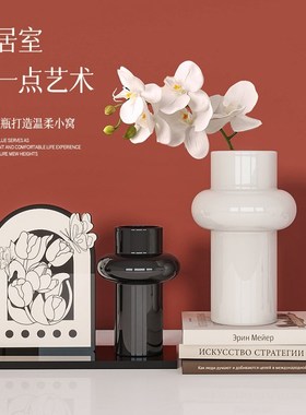 现代法式瓶插客厅电视柜玄关卧室中古风创意桌面装饰