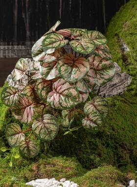 高级彷真叶子假花草树叶绿色植物室内彷生花藤蔓插花艺造景植物墙
