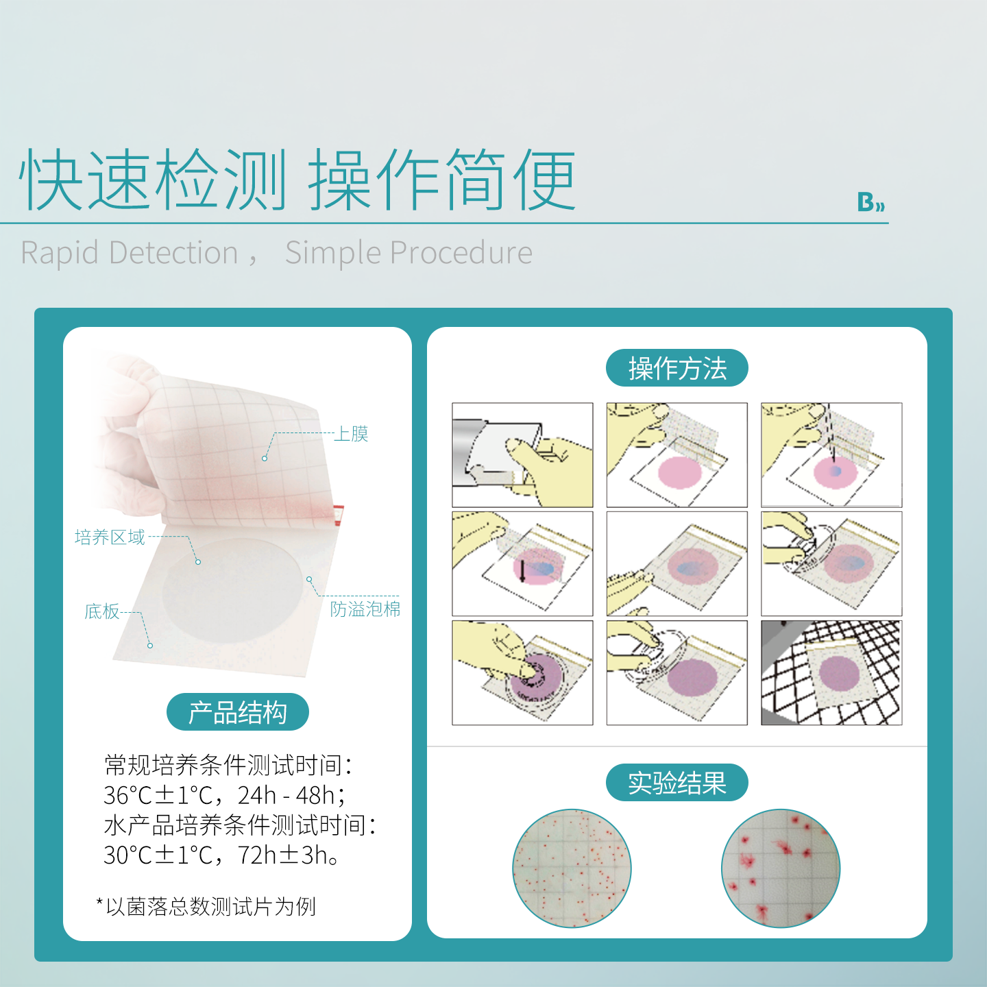 比克曼生物测菌片大肠杆菌快速检测霉菌酵母菌6406纽勤/3M测试片,淘宝优惠券,粉丝福利购,淘宝优惠卷